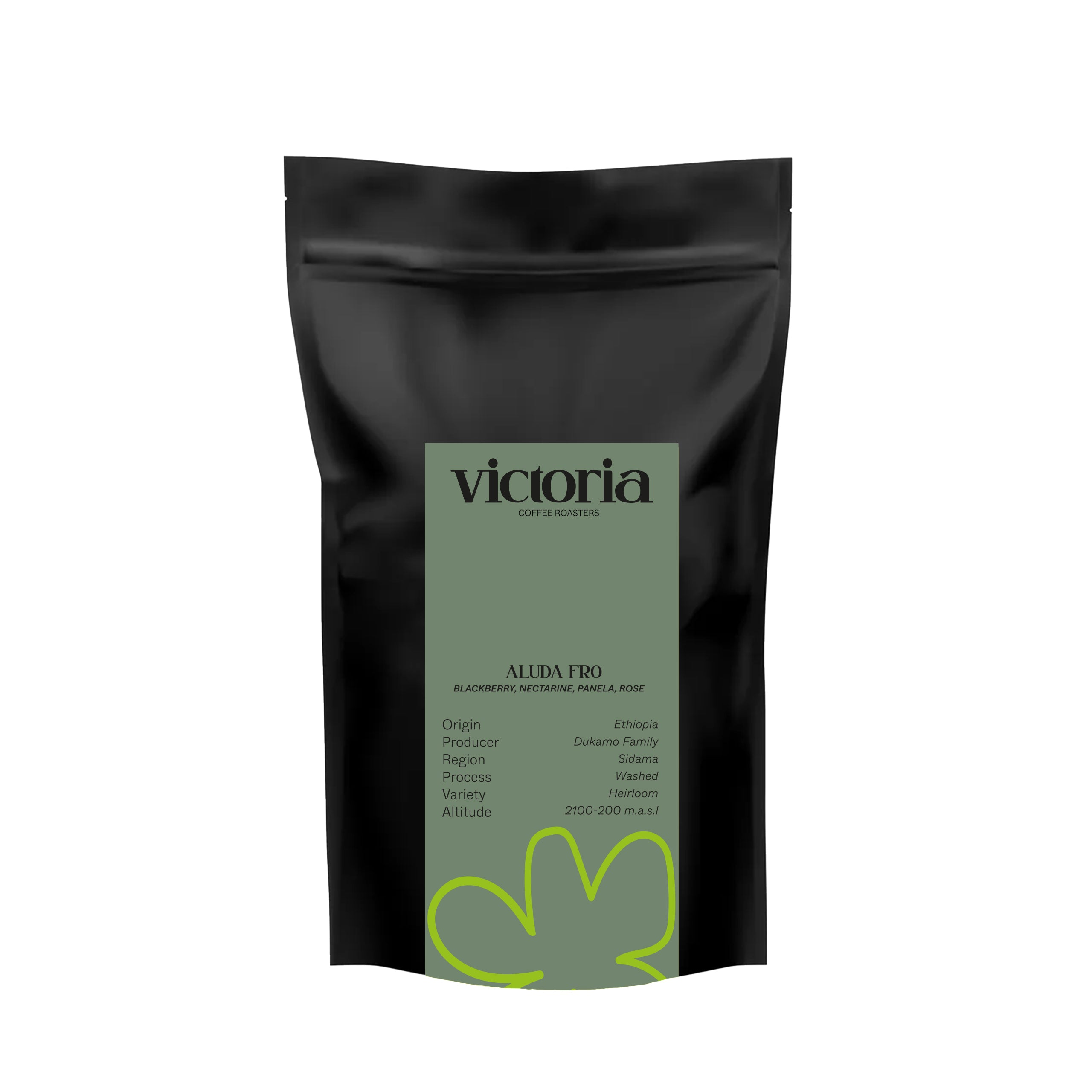 ALUDA FRO ( ETHIOPIA )