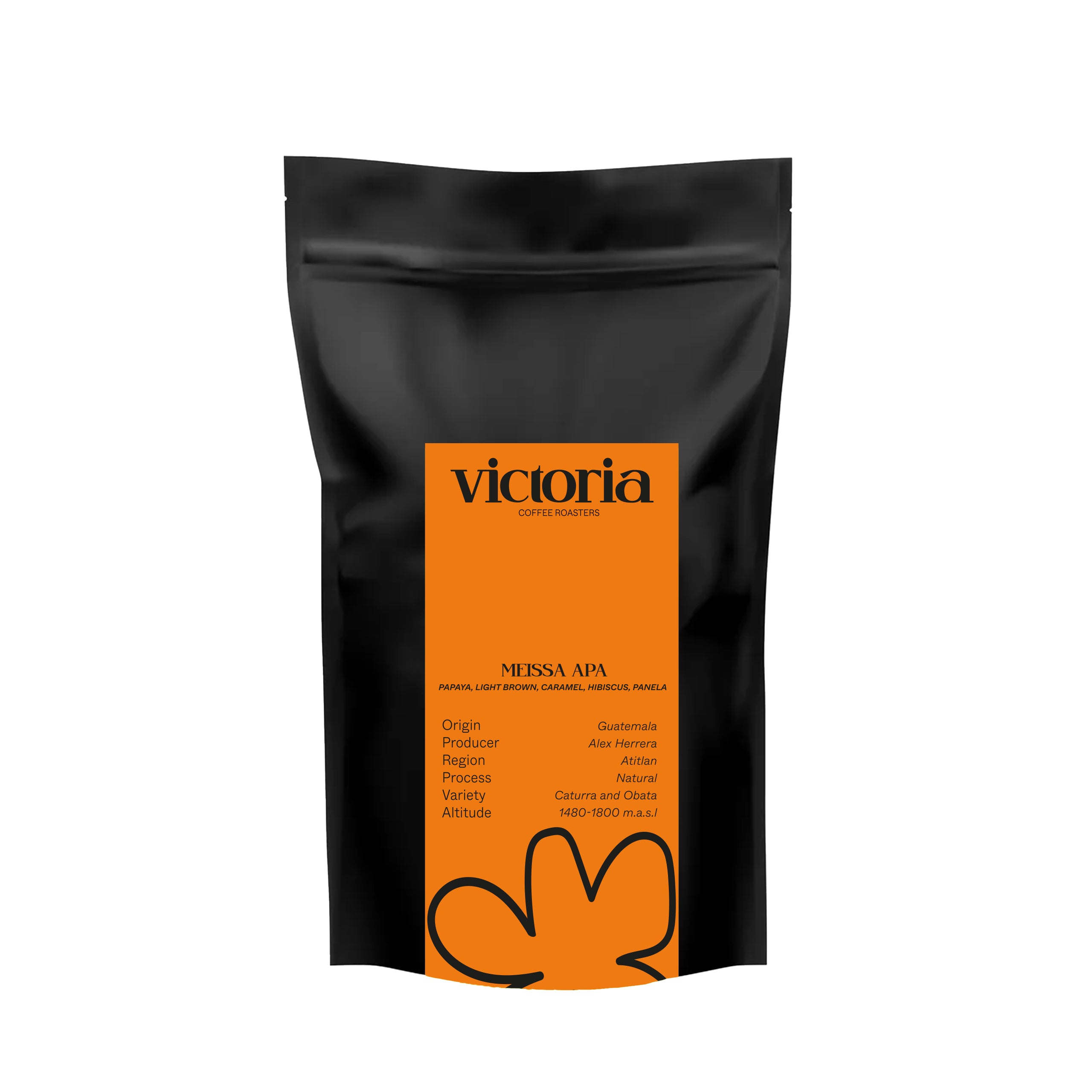 MEISSA APA ( GUATEMALA )